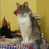 Отзыв от Ева Чижова
